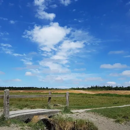 Haus Boehler * Böhl